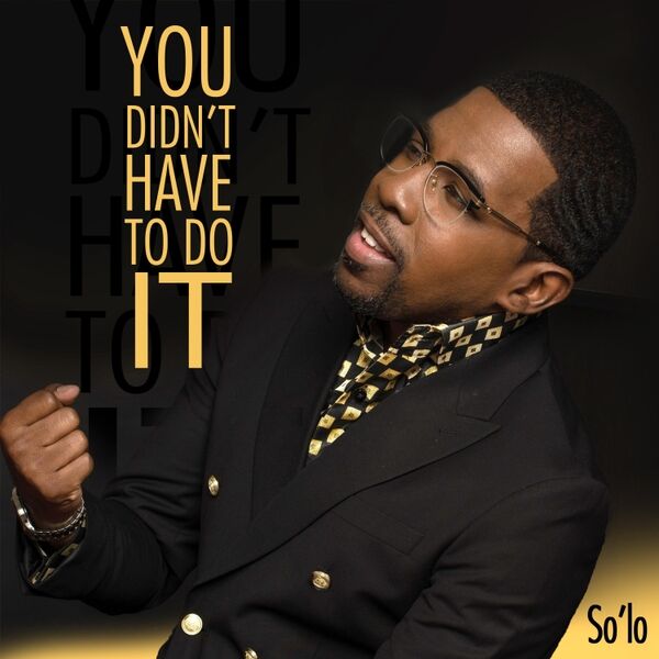 Cover art for You Didn't Have to Do It